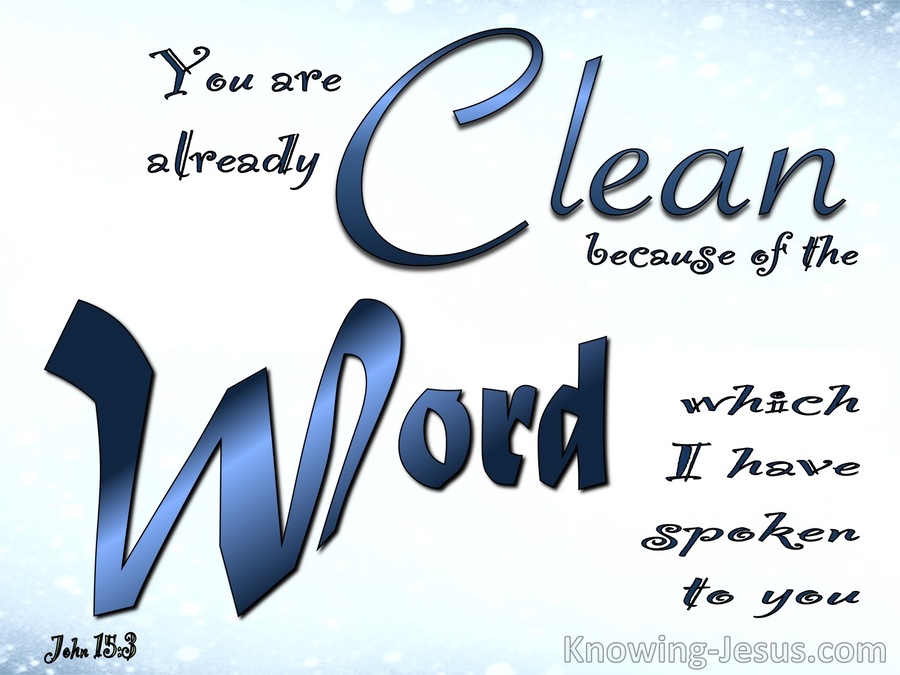 John 15:3 You Are Clean Because Of The Word (blue)